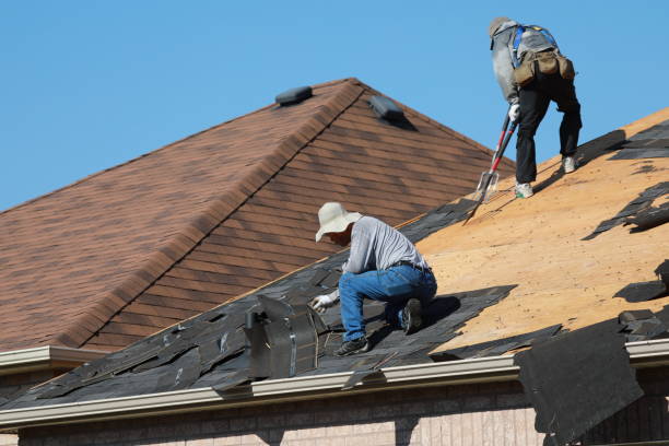 Best Roof Moss and Algae Removal  in Delano, MN